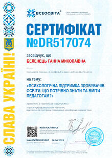 №DR517074