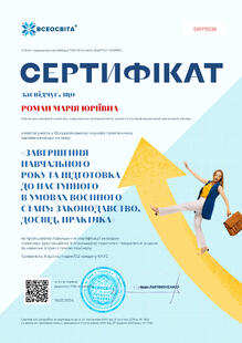 №DR719236
