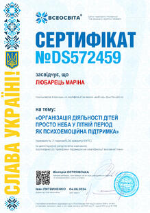 №DS572459