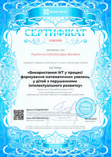 №DS603381