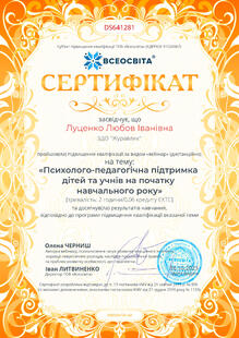 №DS641281