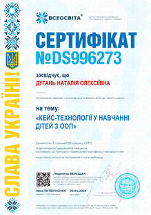 №DS996273