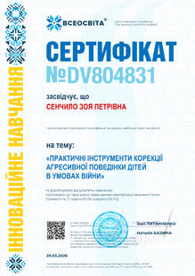 №DV804831