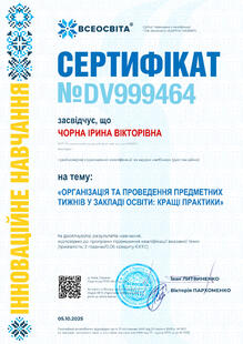 №DV999464