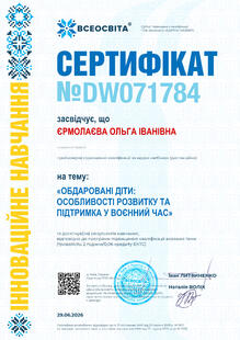 №DW071784
