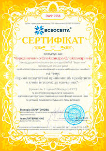 №DW919558