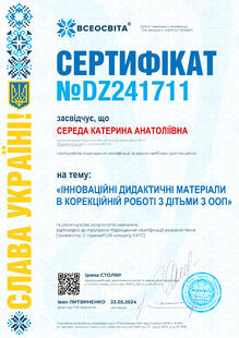 №DZ241711