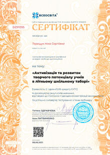 №DZ911395