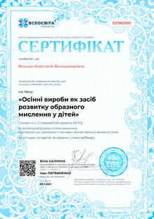 №DZ982993