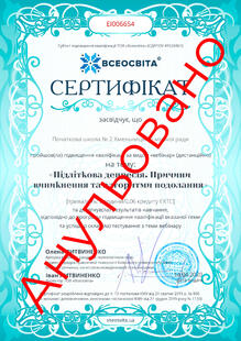 №EI006654