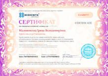 №EV488717
