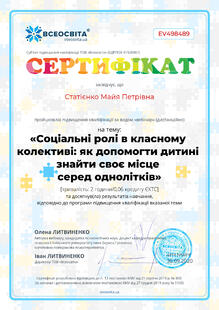 №EV498489