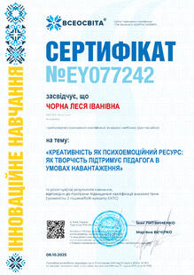 №EY077242