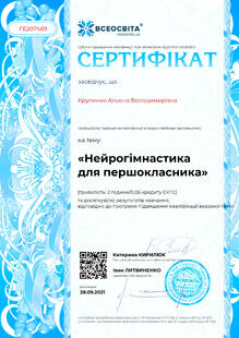 №FE207469