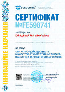 №FE598741