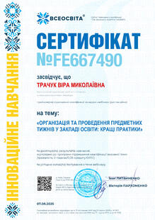 №FE667490