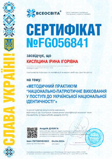 №FG056841