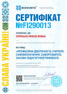 №FI290013
