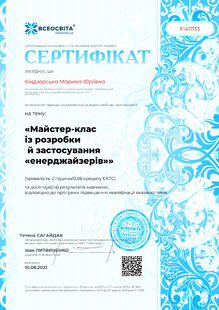 №FI411133