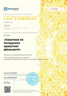 №FI438496