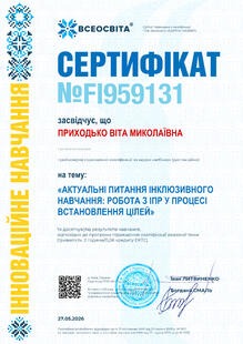 №FI959131