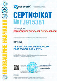 №FJ915381
