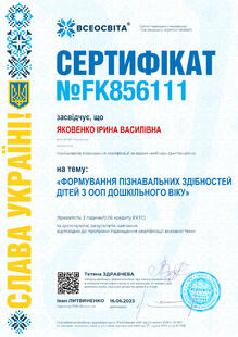 №FK856111