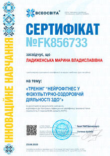 №FK856733
