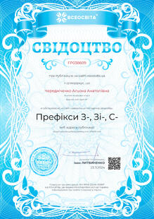 №FP038609