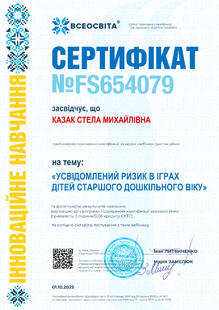 №FS654079