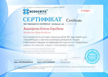 №FT108811