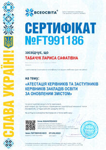№FT991186
