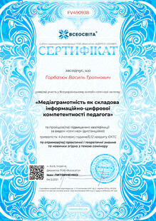 №FV490938