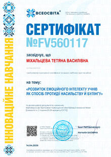 №FV560117