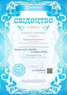 №FW057419