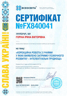 №FX840041