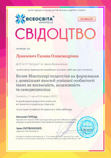 №GC385231