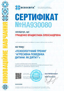 №HA930080