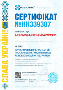 №HH339387