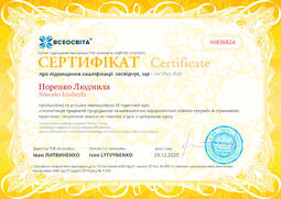 Сторона №1