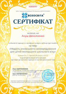 №HS806997