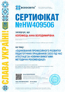 №HW409506