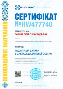 №HW477740