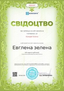 №IB101097