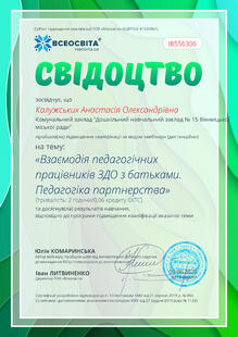 №IB556306