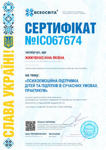 №IC067674