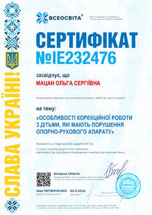 №IE232476