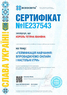 №IE237543