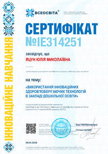 №IE314251