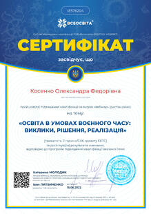 №IE576204